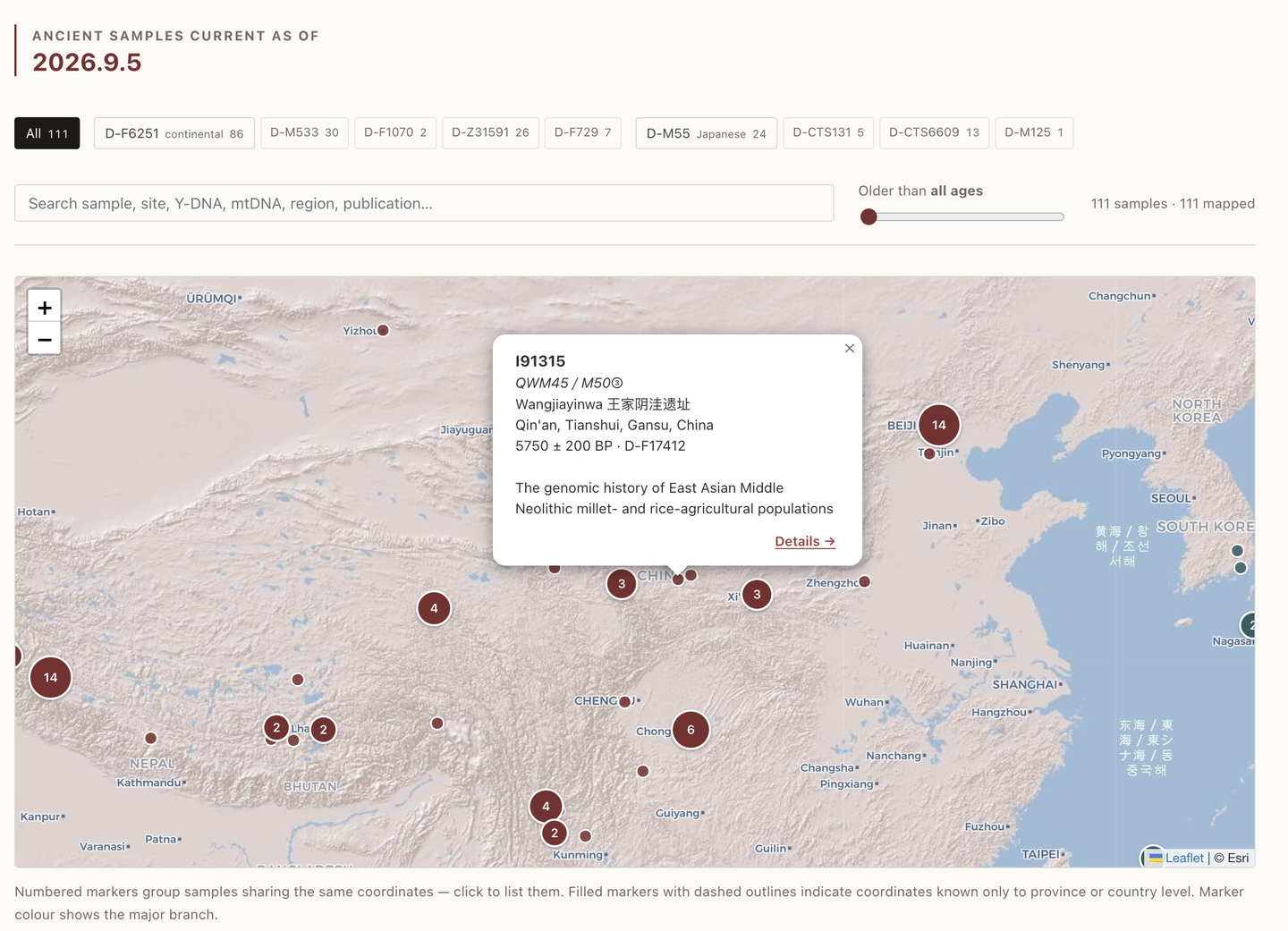 Map information for the Wangjiayinwa sample I91315