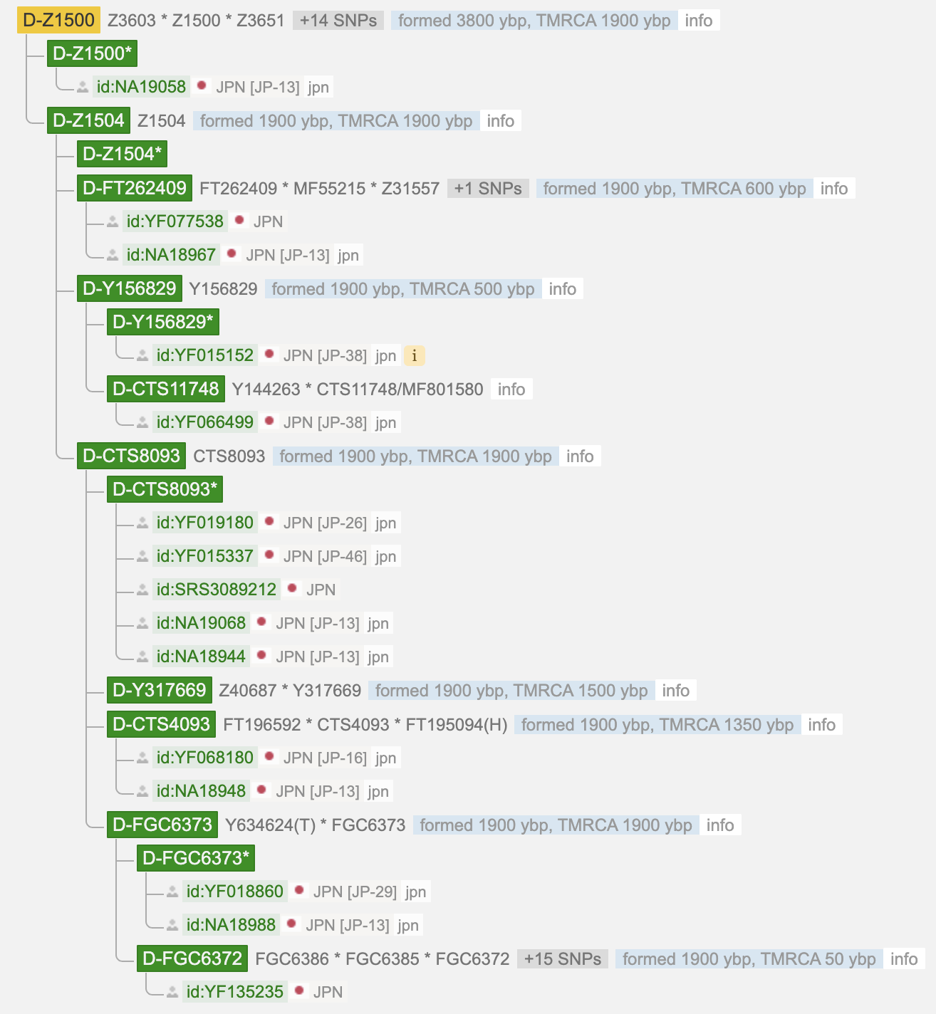 YFull phylogenetic tree for D-Z1500 and its downstream branches