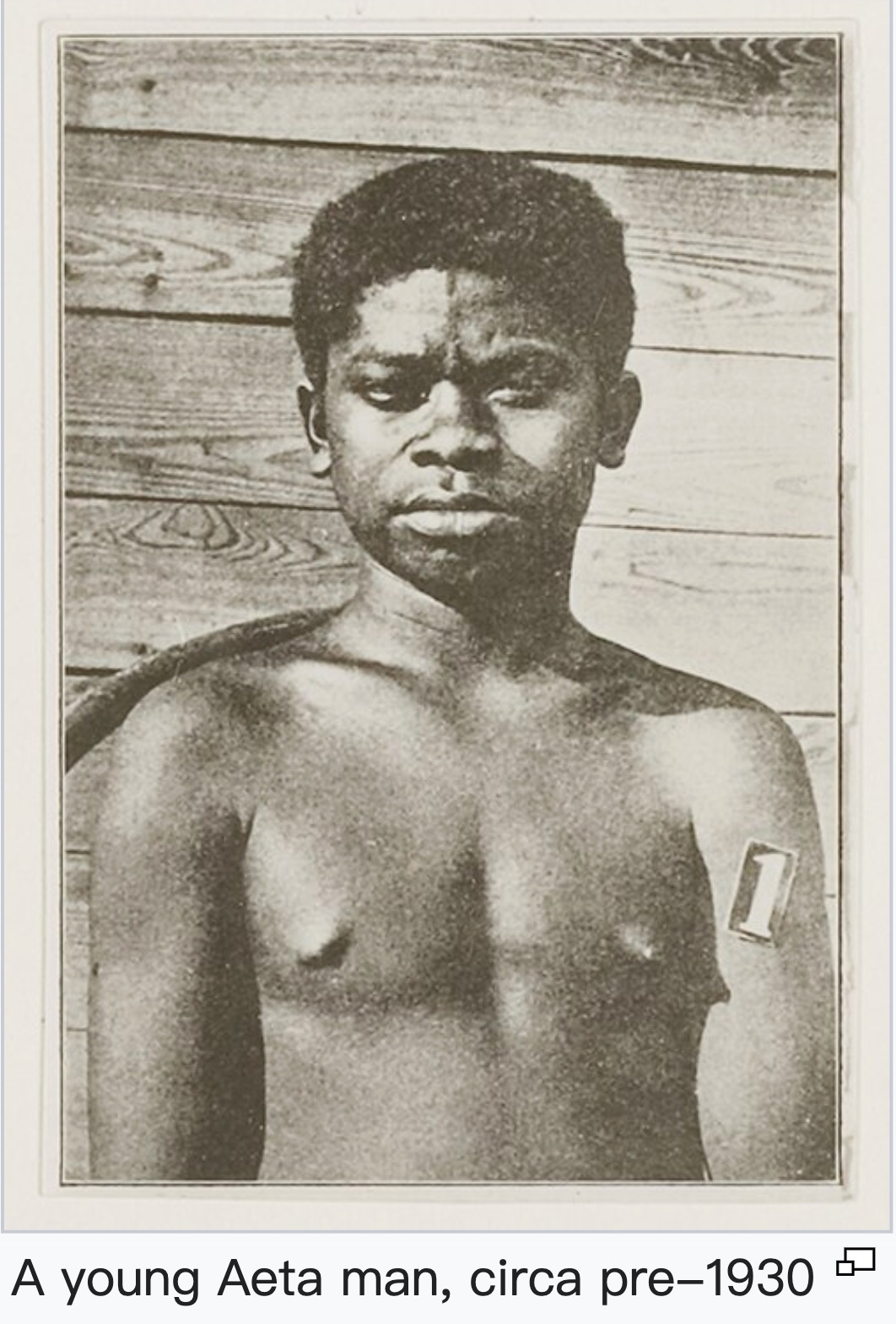 Aeta population photographs and genetic reference material., image 8 of 14