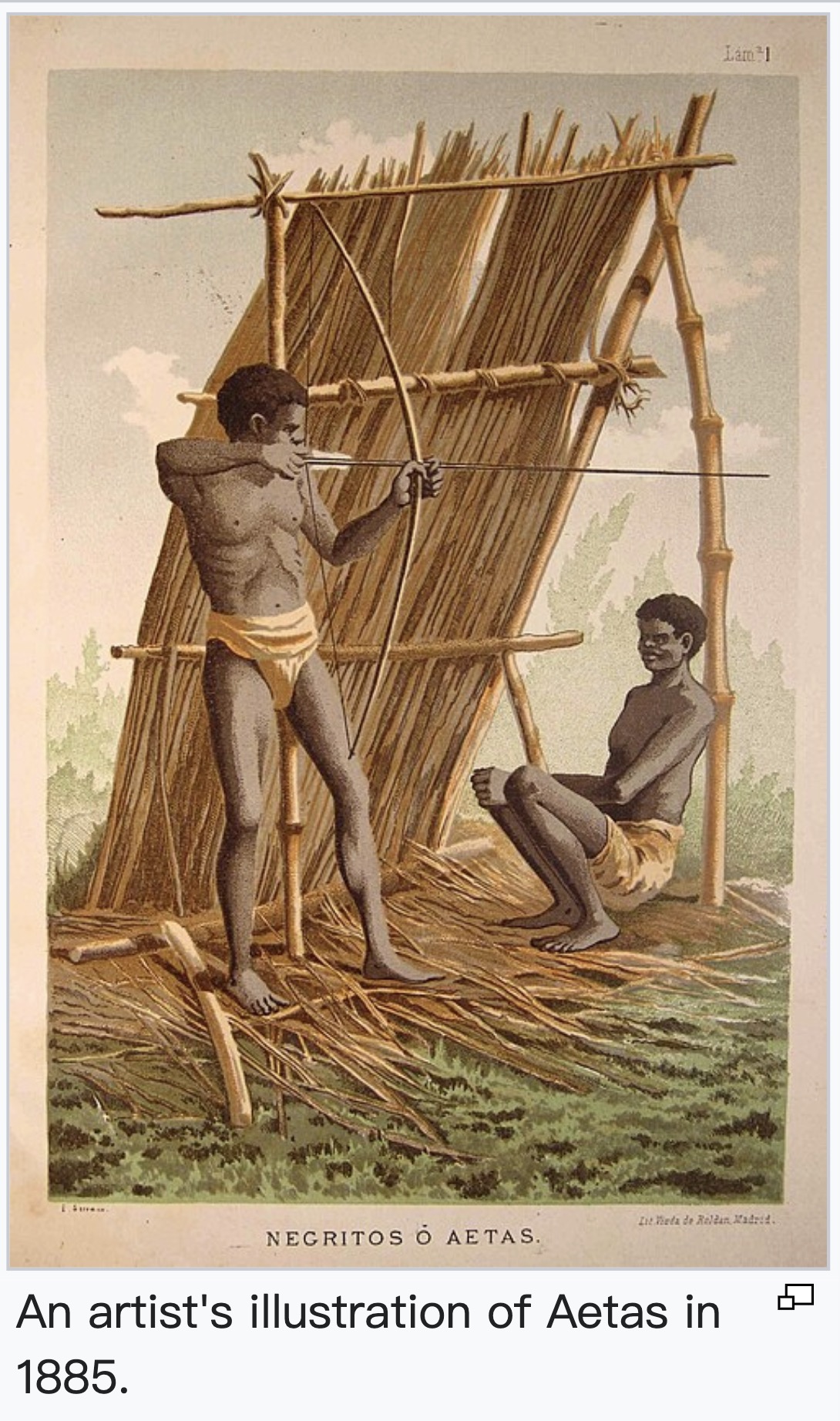 Aeta population photographs and genetic reference material., image 12 of 14