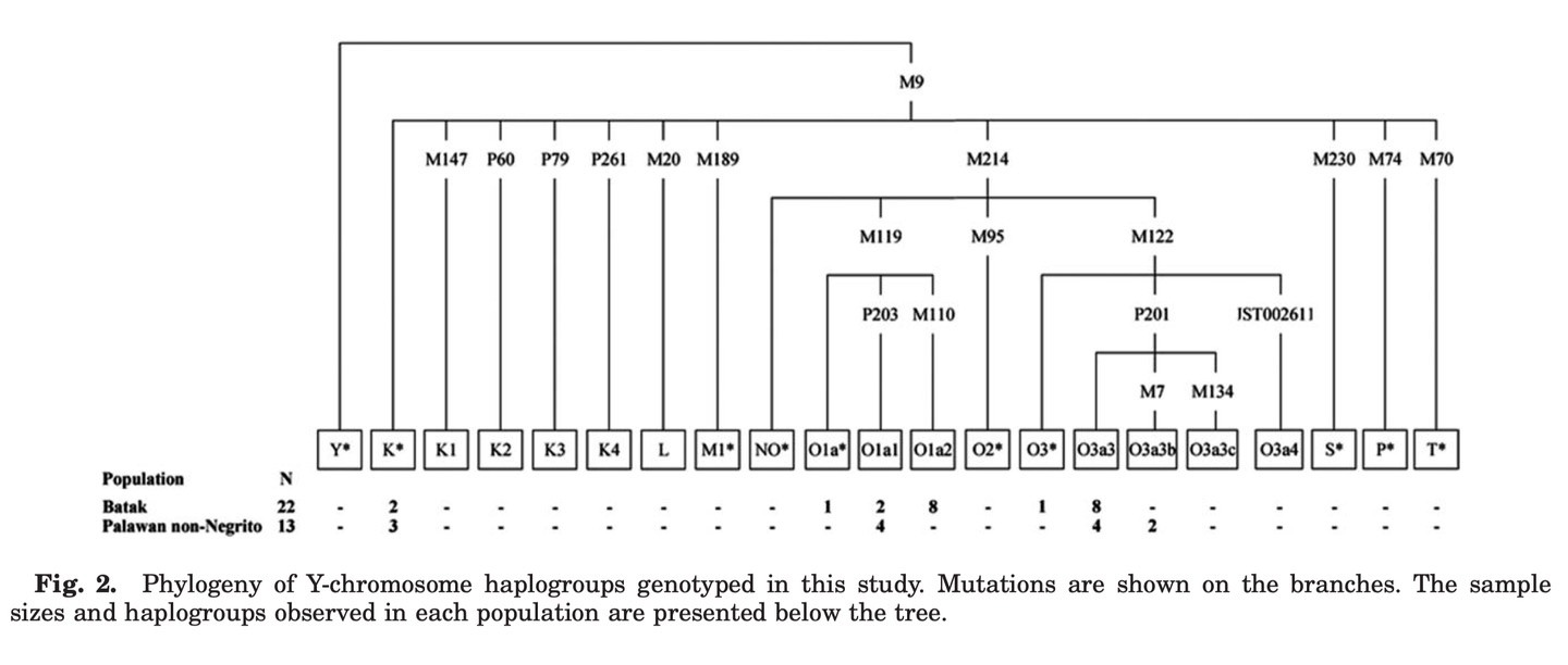 Palawan Batak photographs and genetic reference material., image 1 of 3