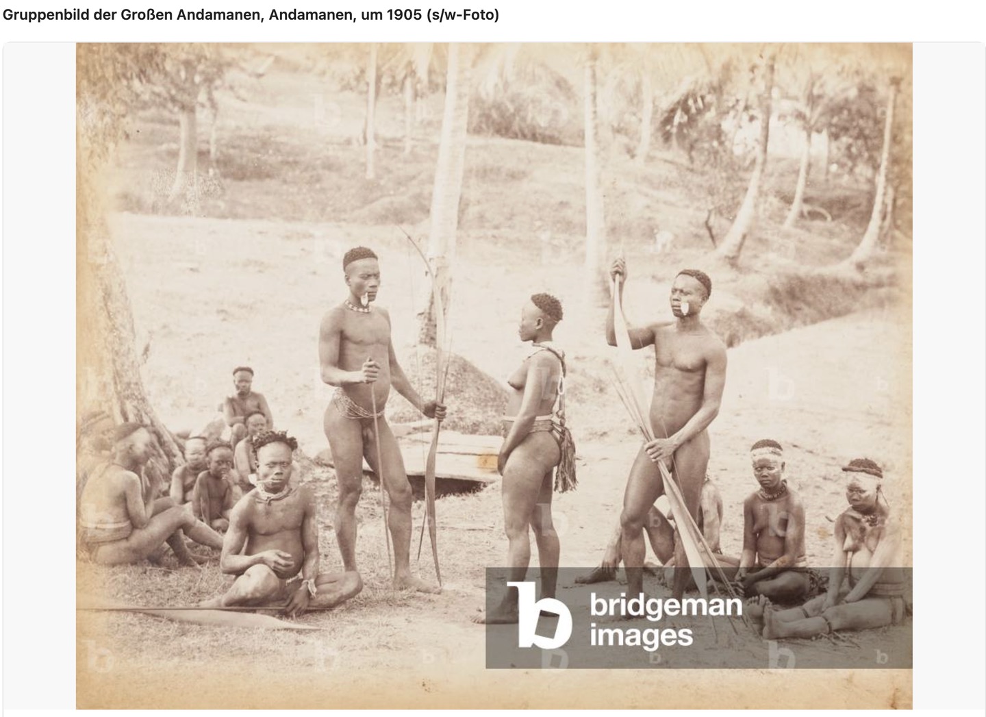 Great Andamanese genetic reference material., image 2 of 5