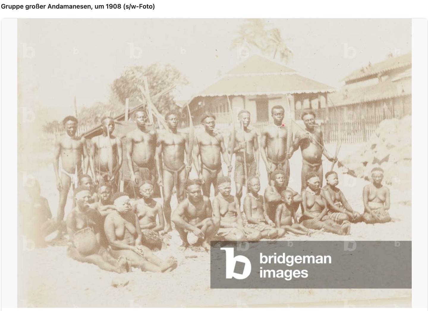 Great Andamanese genetic reference material., image 3 of 5