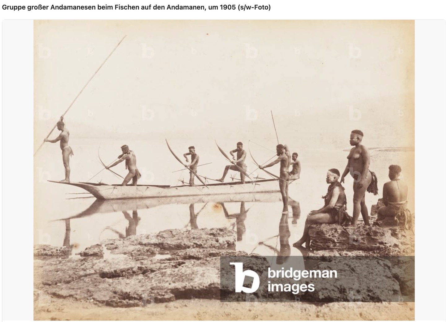 Great Andamanese genetic reference material., image 4 of 5