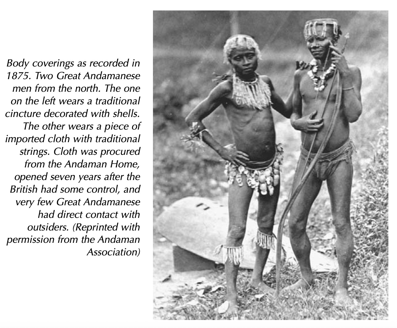 Great Andamanese genetic reference material., image 5 of 5