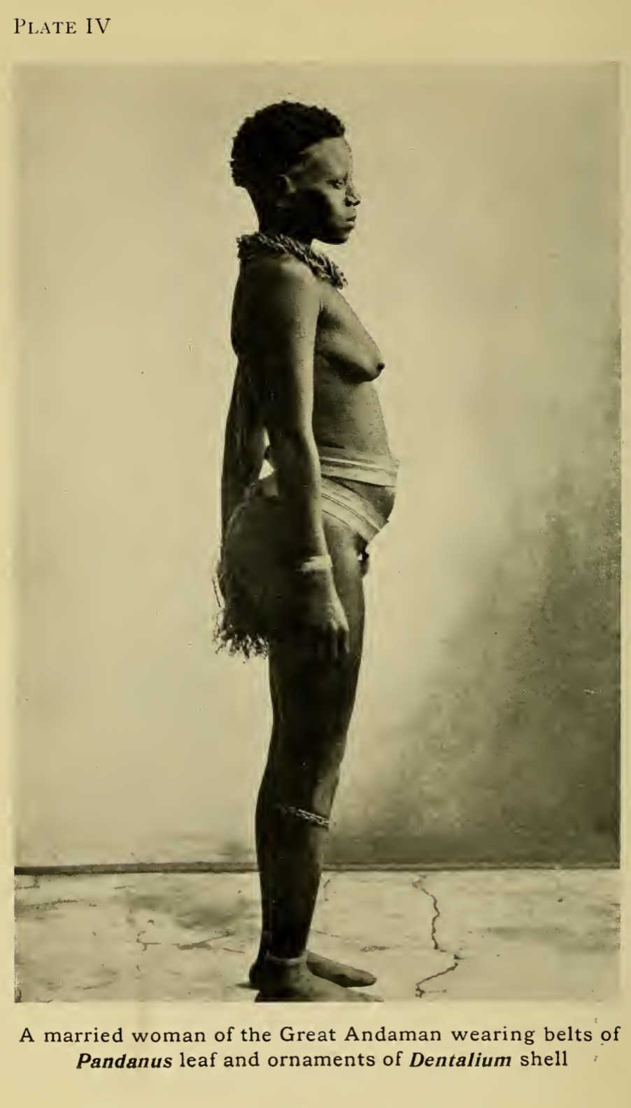 Historical photographs of Great Andamanese peoples., image 1 of 7