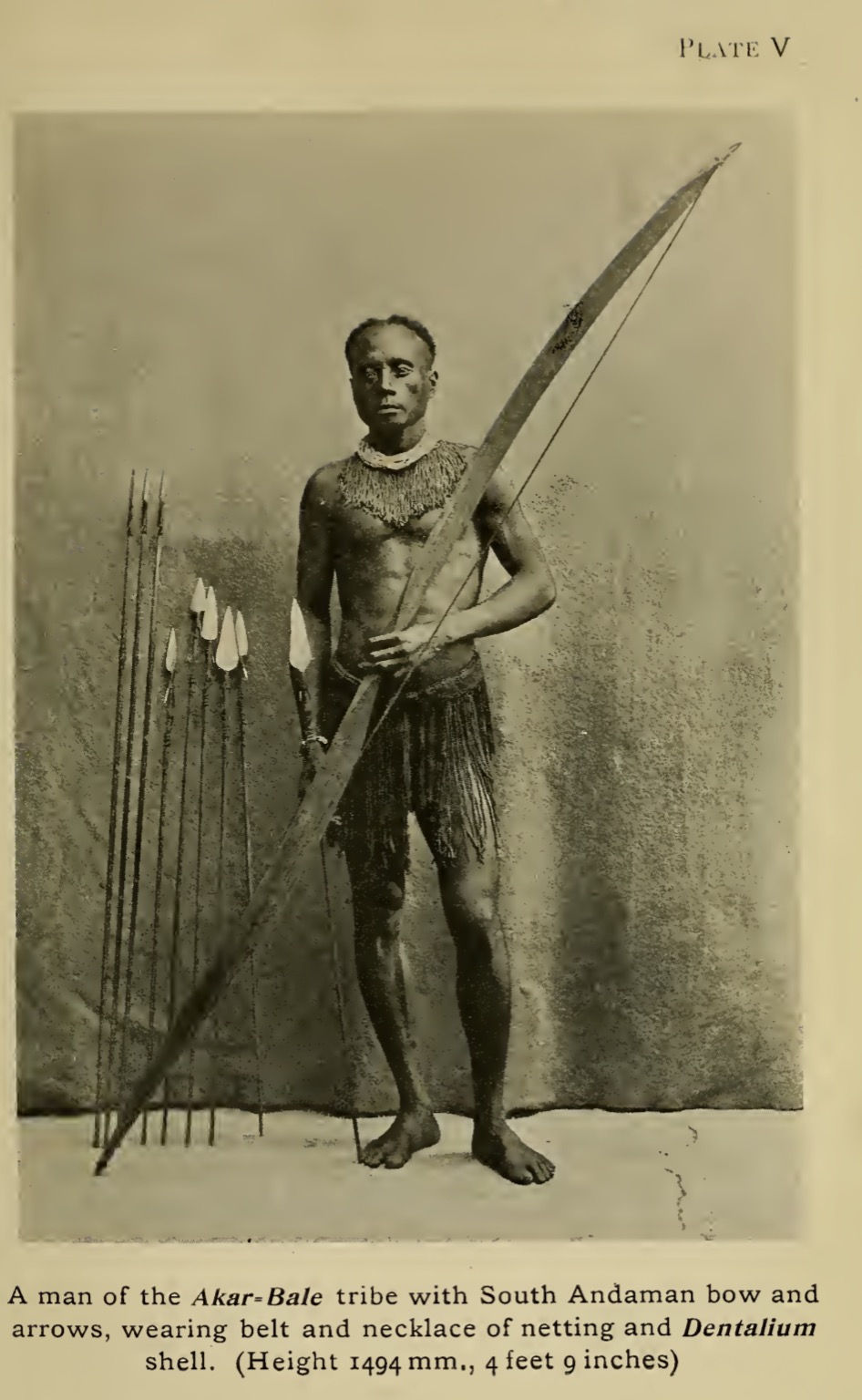 Aka-Bale reference images., image 1 of 2