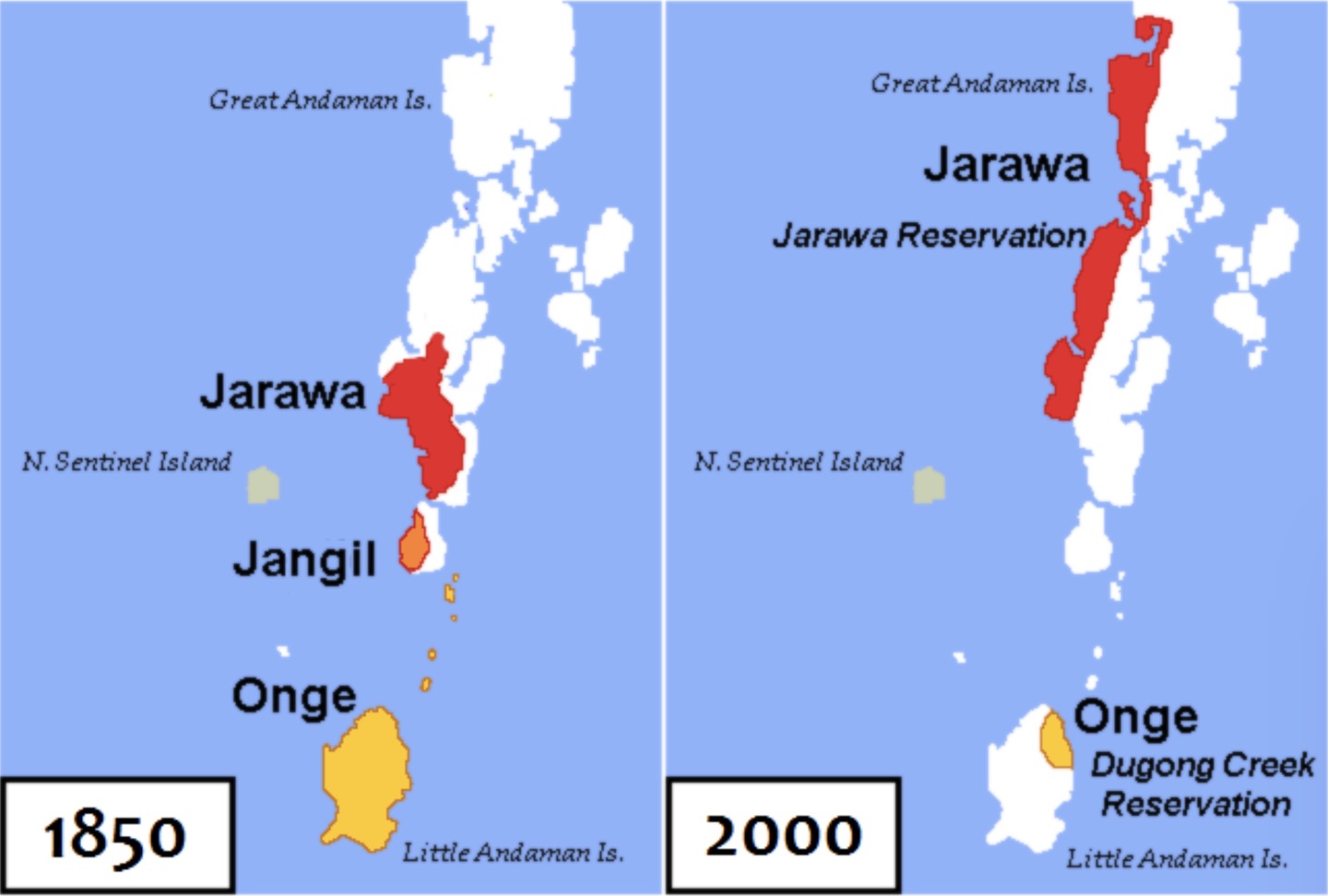 Ongan genetic reference material., image 2 of 2