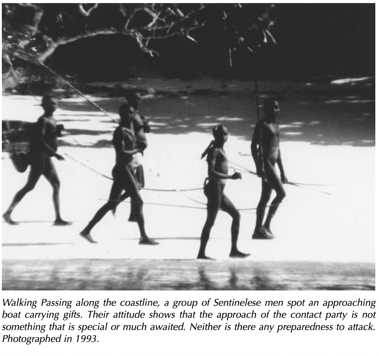 Sentinelese reference images., image 3 of 4