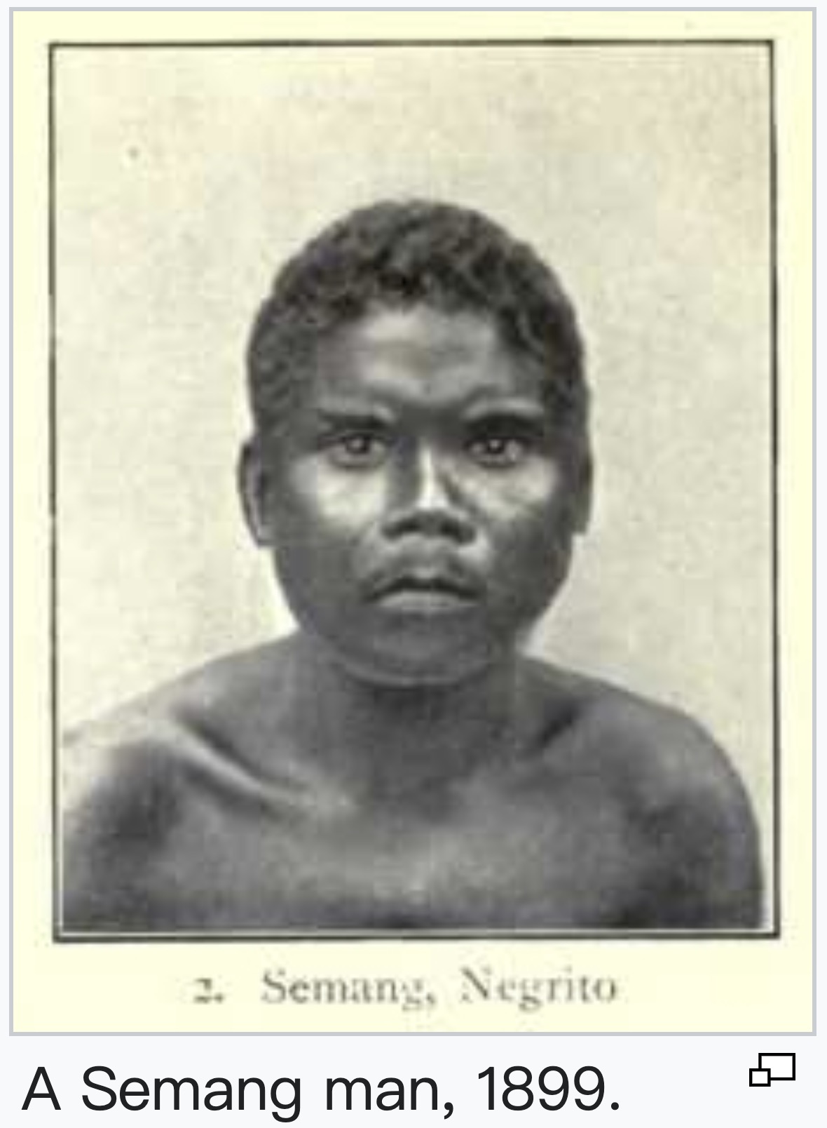 Portraits of Semang peoples., image 2 of 14