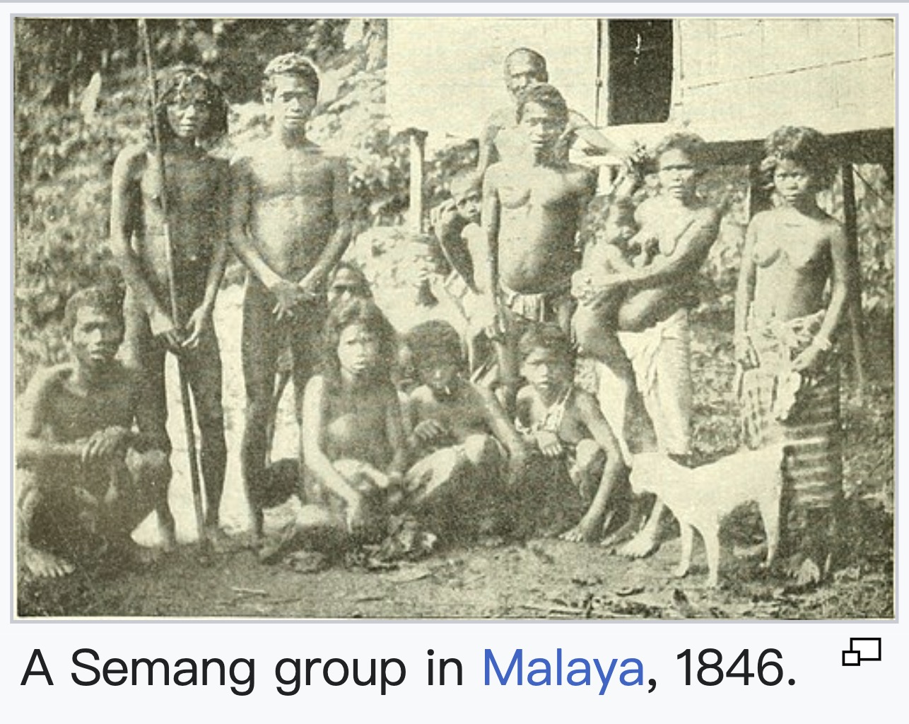 Portraits of Semang peoples., image 4 of 14