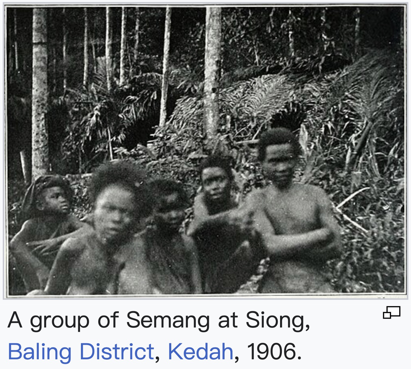 Portraits of Semang peoples., image 6 of 14