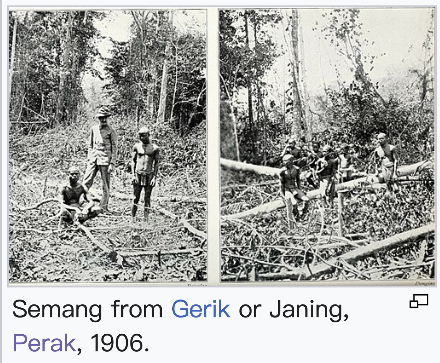 Portraits of Semang peoples., image 8 of 14
