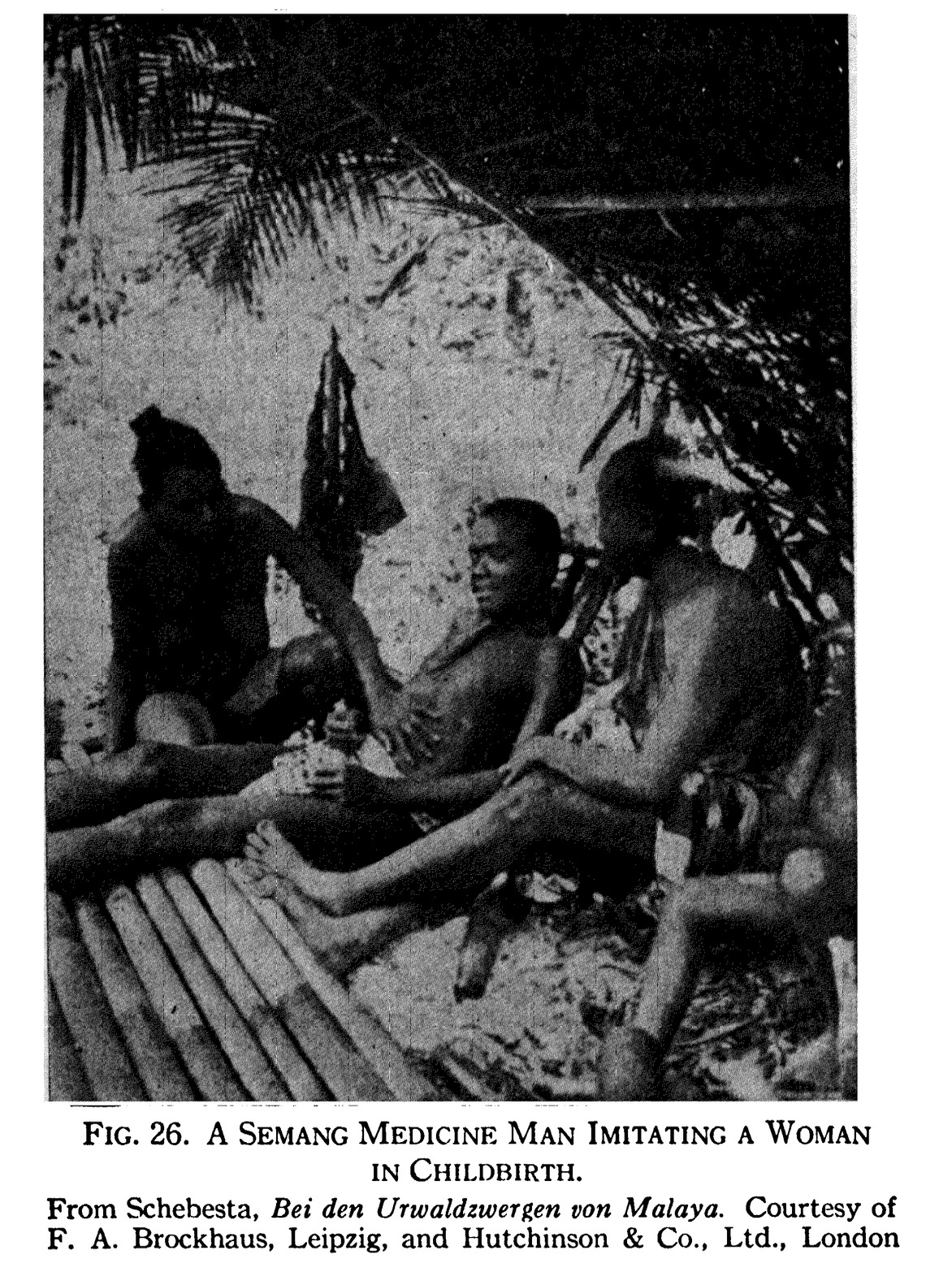 Portraits of Semang peoples., image 9 of 14