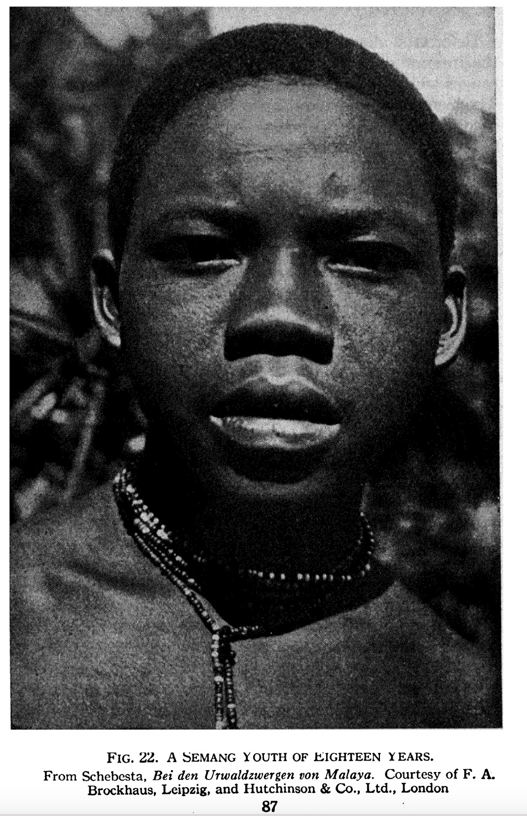 Portraits of Semang peoples., image 10 of 14