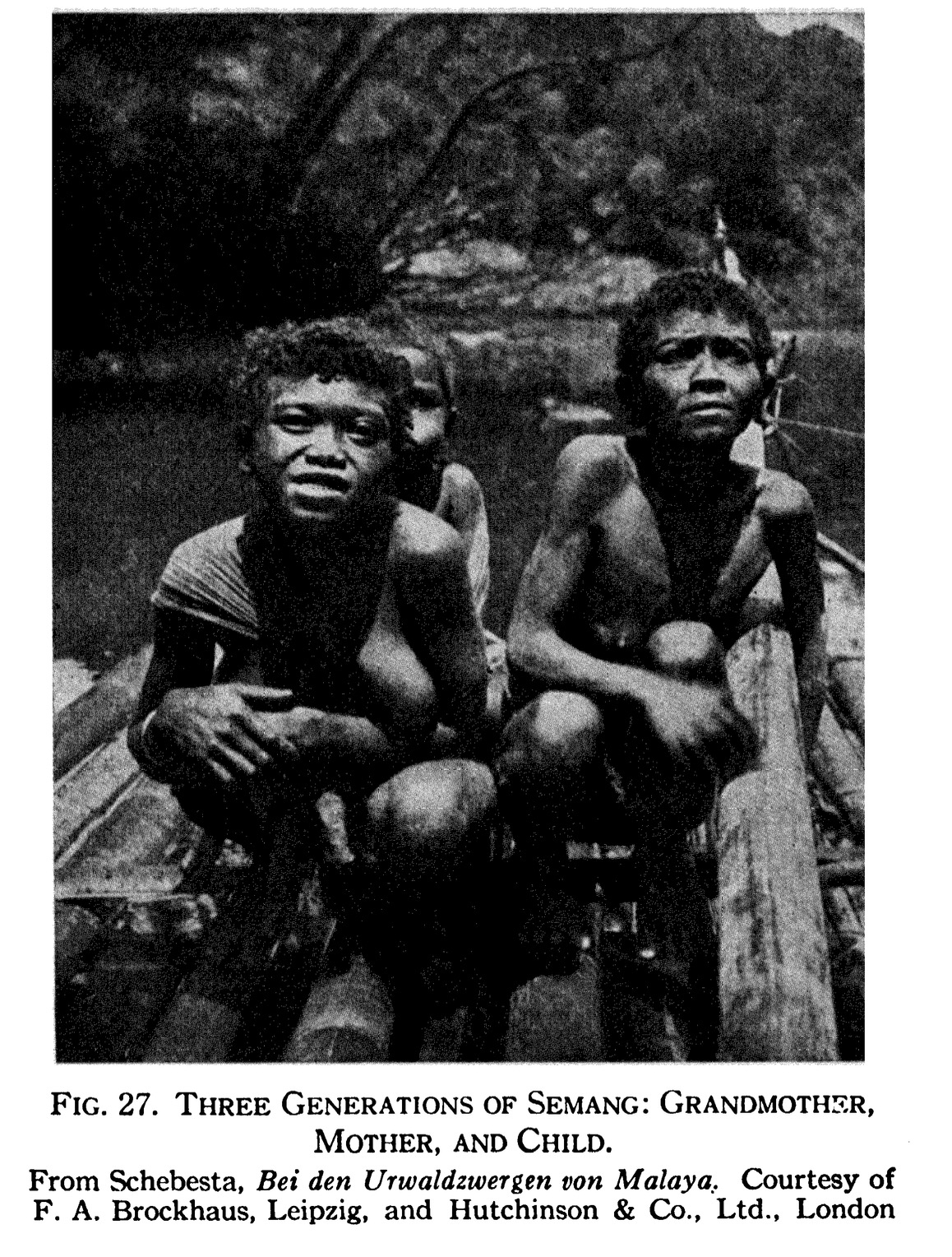 Portraits of Semang peoples., image 11 of 14
