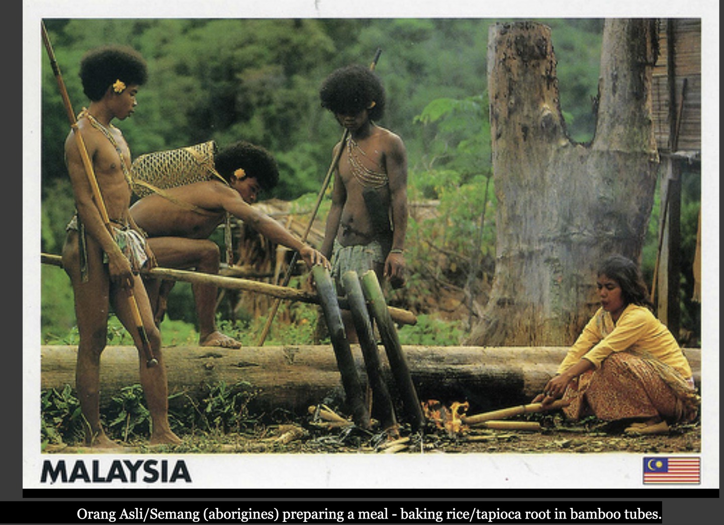 Portraits of Semang peoples., image 14 of 14