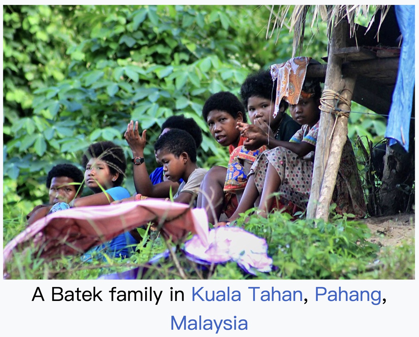 Batek population photographs., image 2 of 4