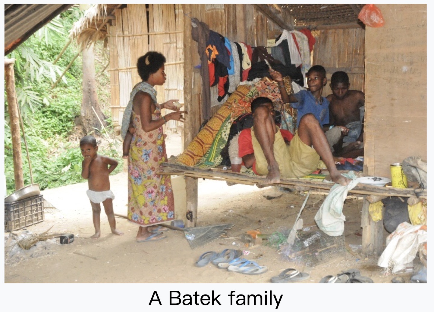 Batek population photographs., image 4 of 4