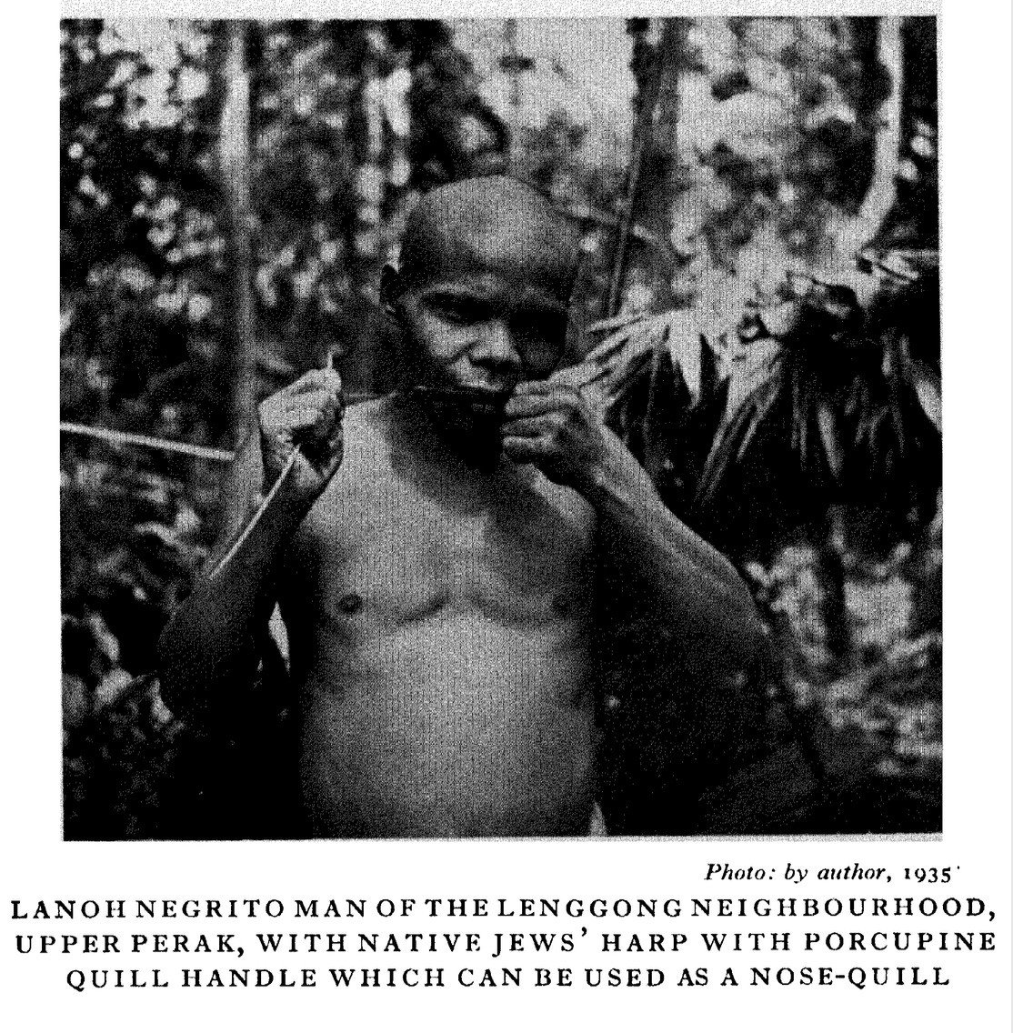 Lanoh population photographs., image 1 of 3