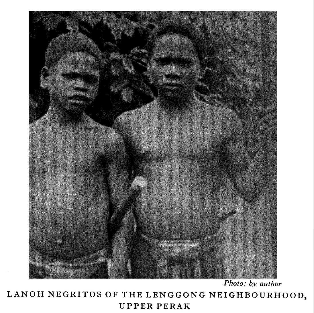 Lanoh population photographs., image 3 of 3