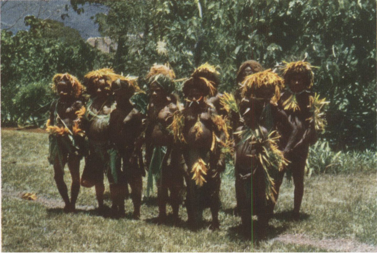 Aiome photographs and regional genetic reference material., image 4 of 10