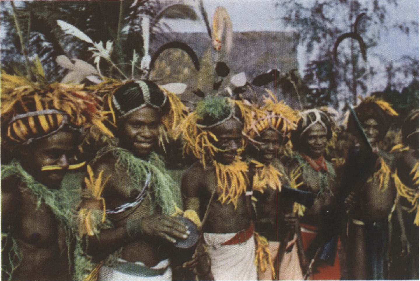 Aiome photographs and regional genetic reference material., image 8 of 10