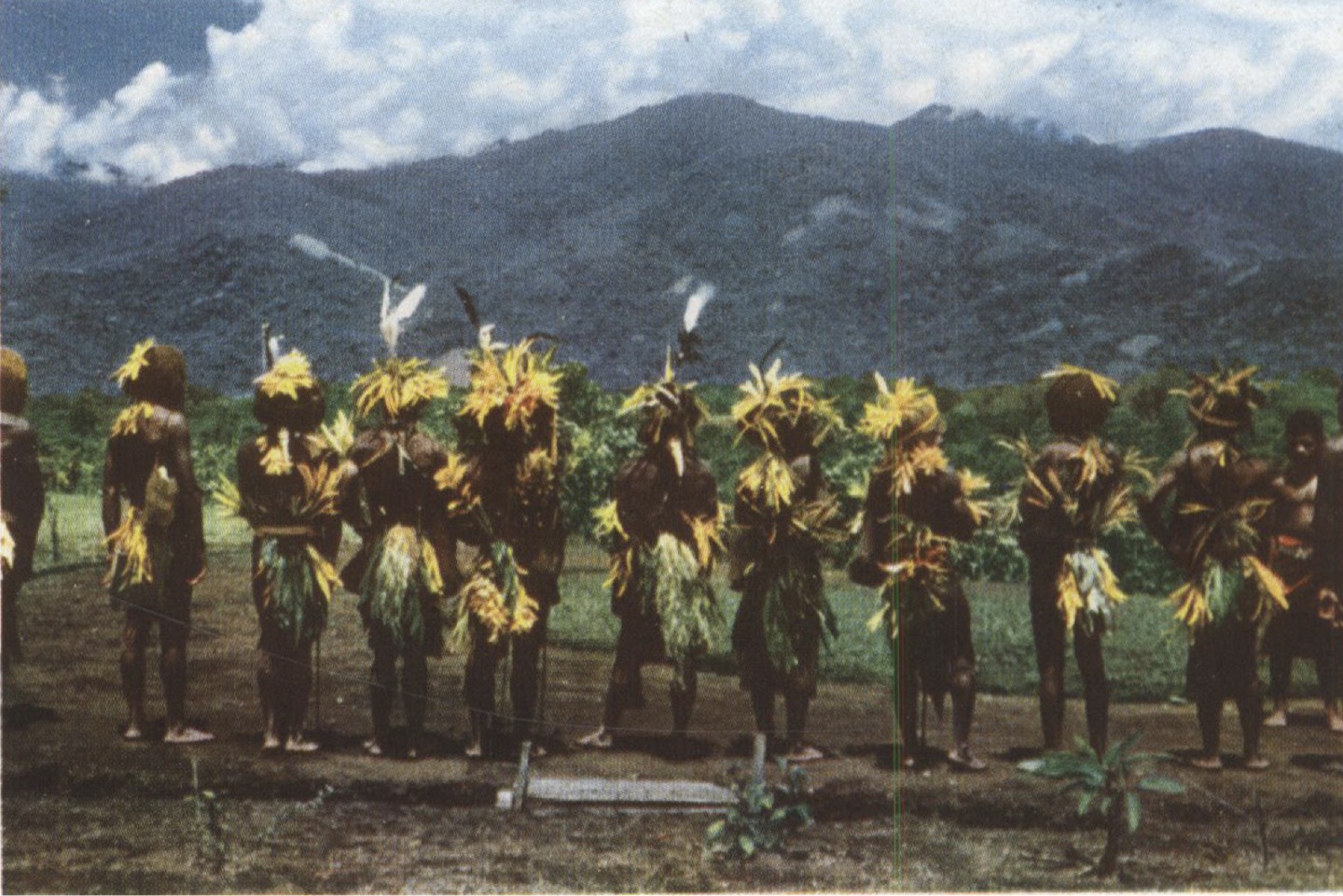 Aiome photographs and regional genetic reference material., image 9 of 10