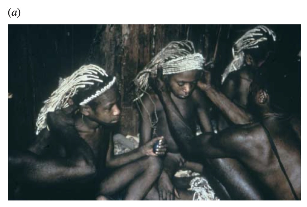 Fore photographs and regional genetic reference material., image 6 of 14