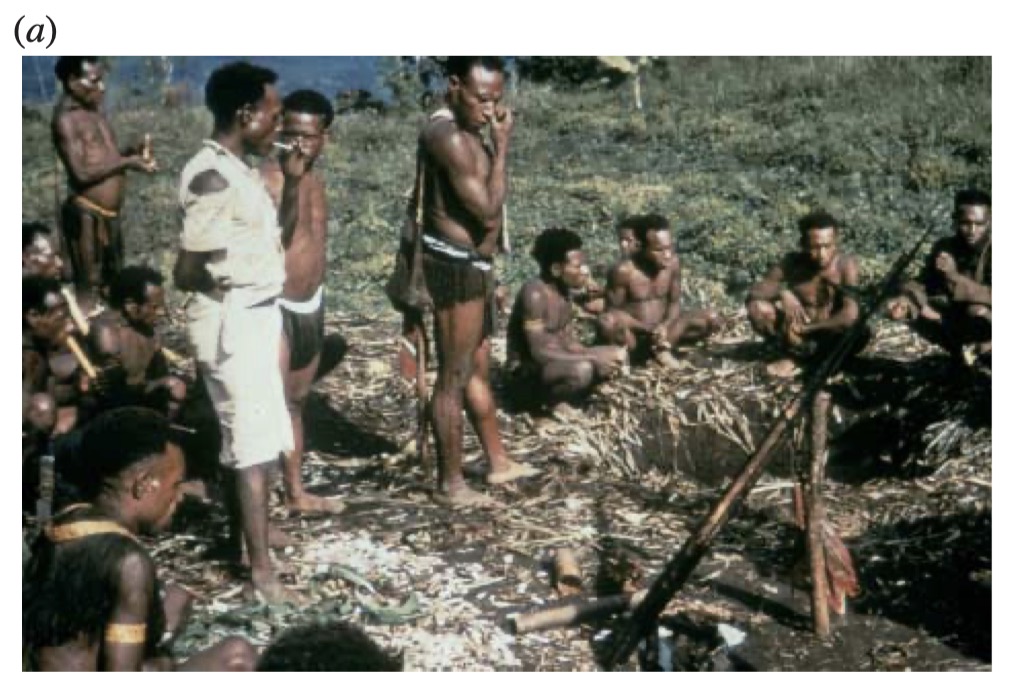 Fore photographs and regional genetic reference material., image 7 of 14