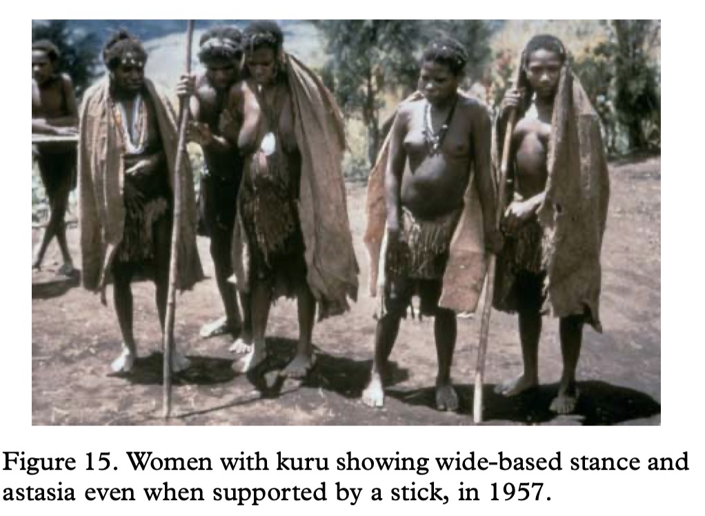 Fore photographs and regional genetic reference material., image 8 of 14