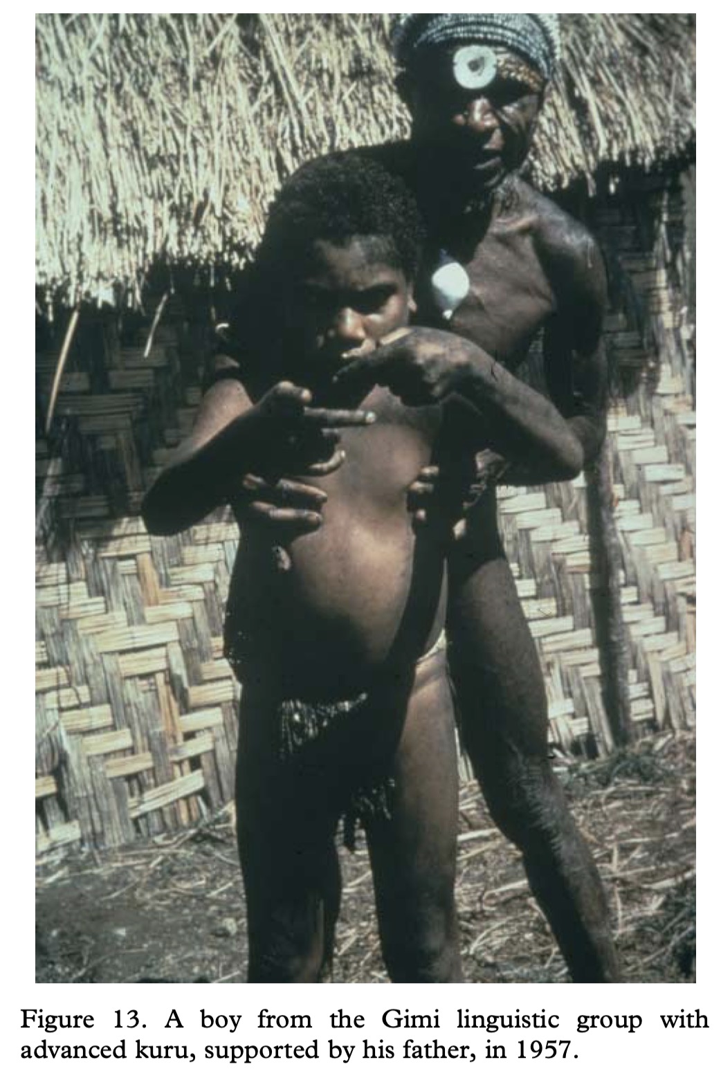 Fore photographs and regional genetic reference material., image 10 of 14