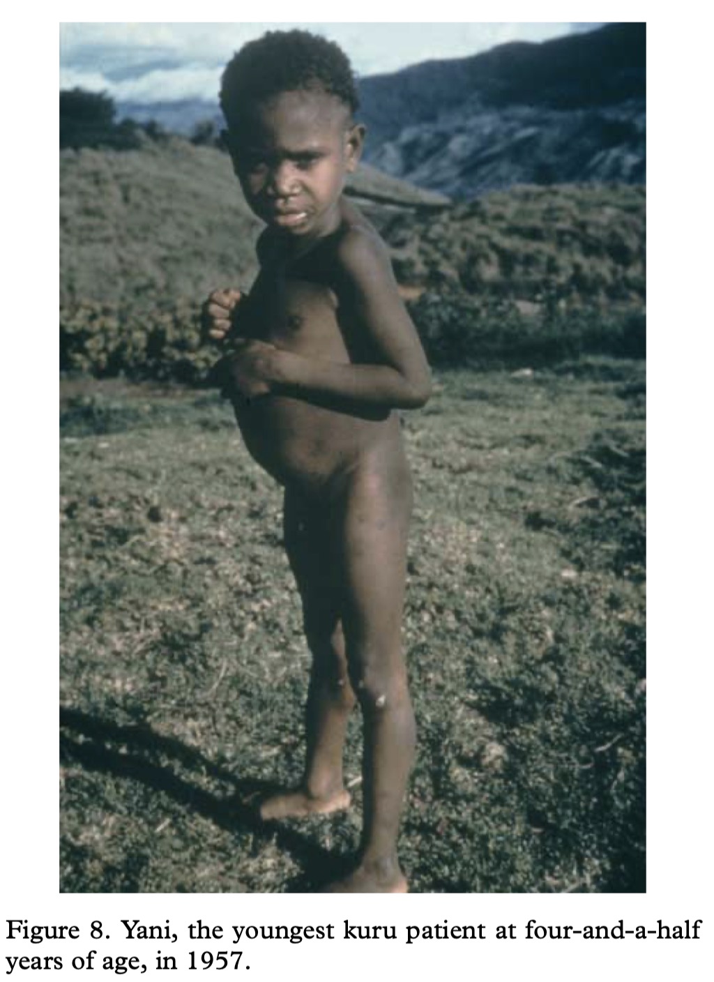 Fore photographs and regional genetic reference material., image 11 of 14