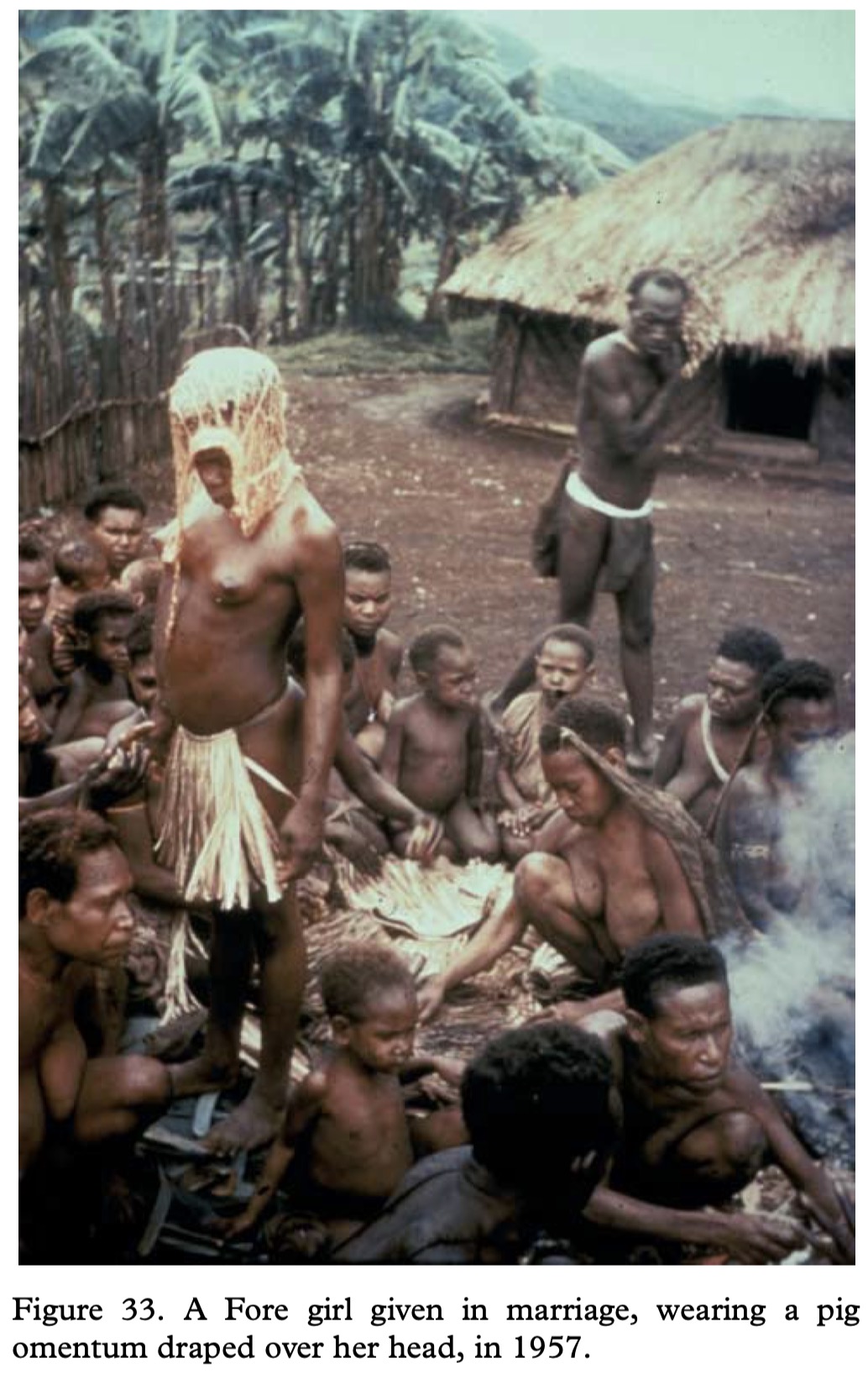 Fore photographs and regional genetic reference material., image 13 of 14