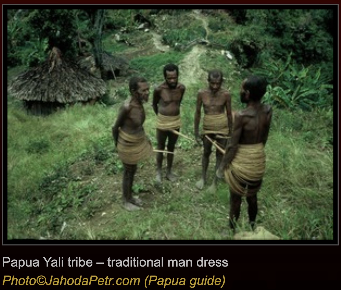 Yali photographs and genetic reference material., image 2 of 4