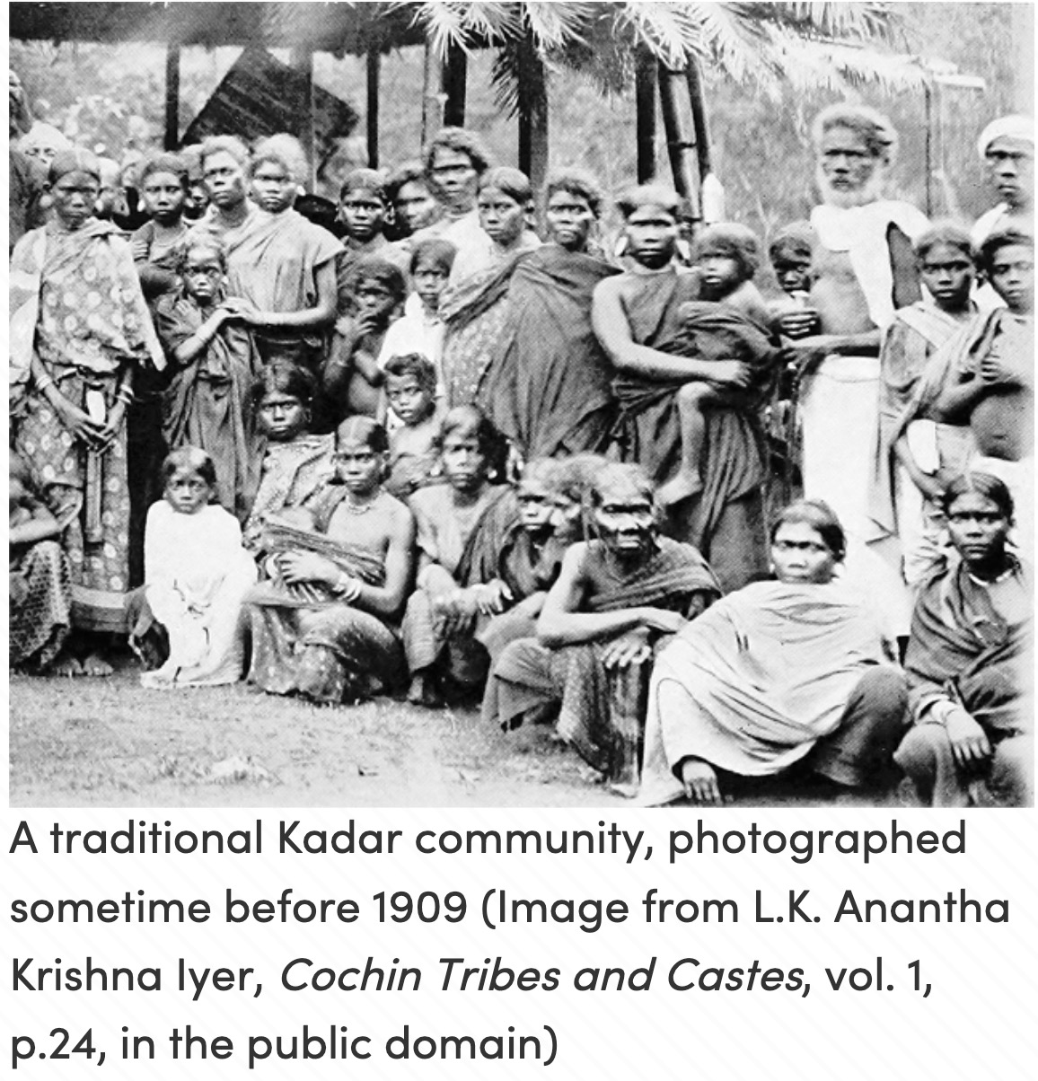 Kadar photographs and genetic reference material., image 3 of 5