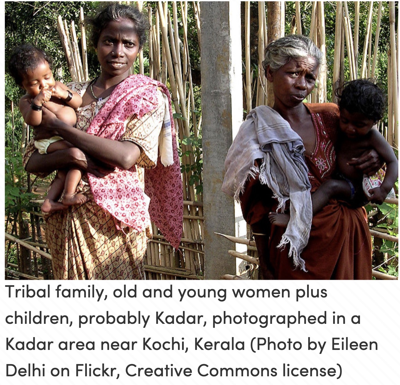 Kadar photographs and genetic reference material., image 5 of 5