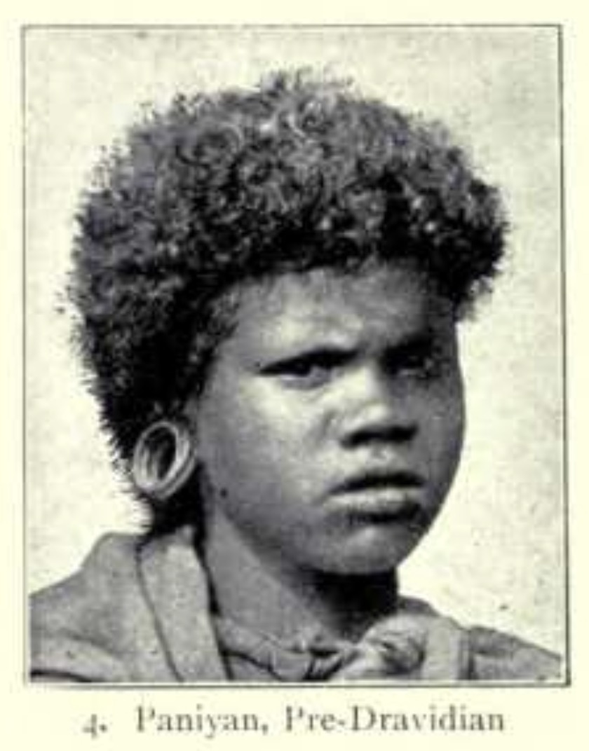 Paniya photographs and genetic reference material., image 2 of 6