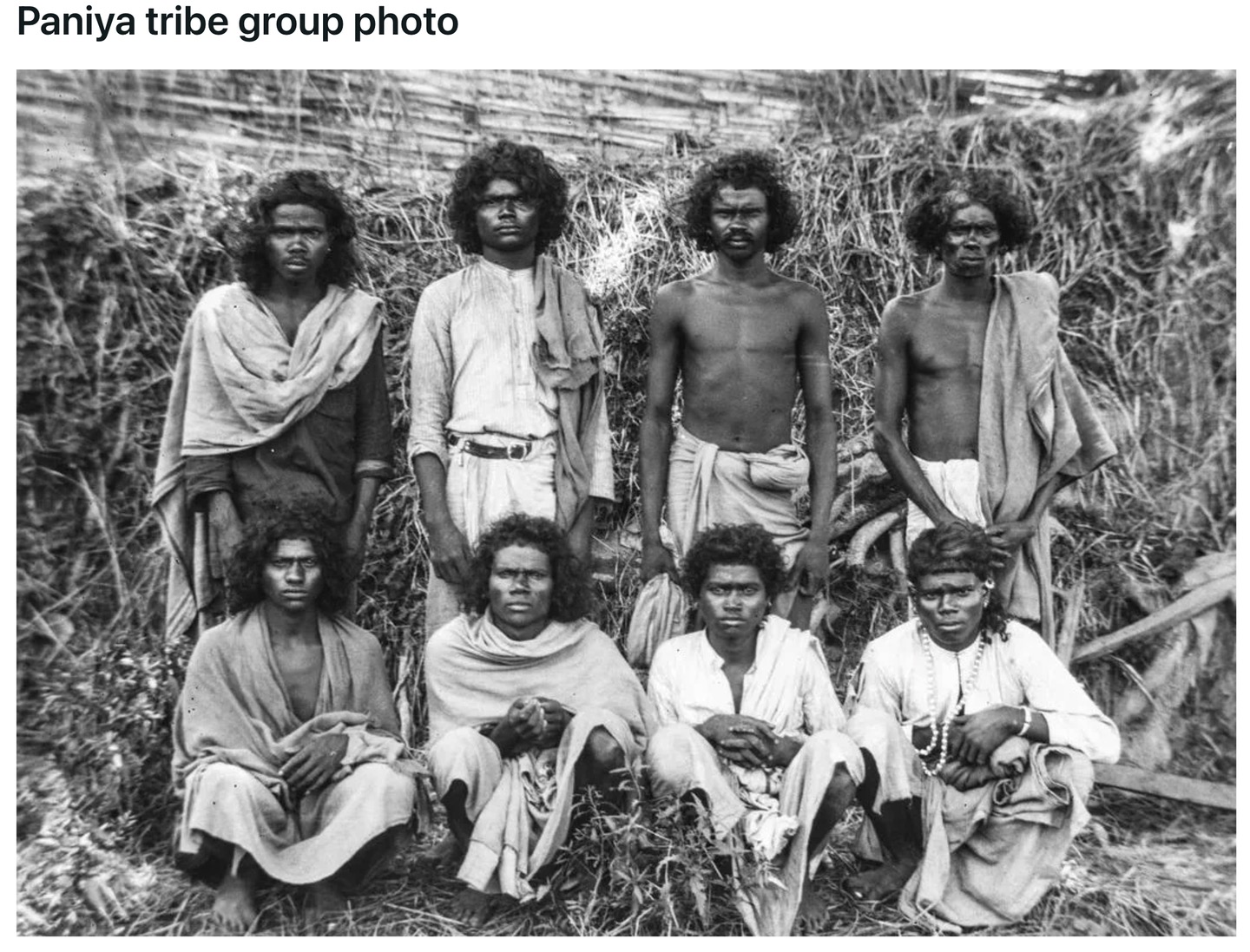 Paniya photographs and genetic reference material., image 5 of 6