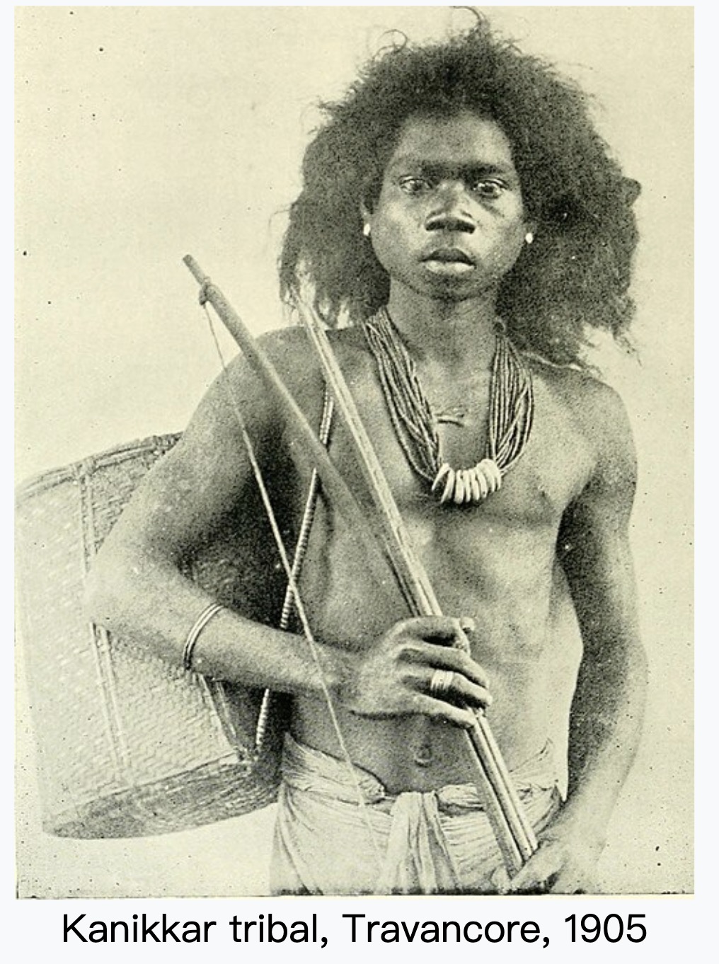 Kanikkaran photographs and genetic reference material., image 2 of 4