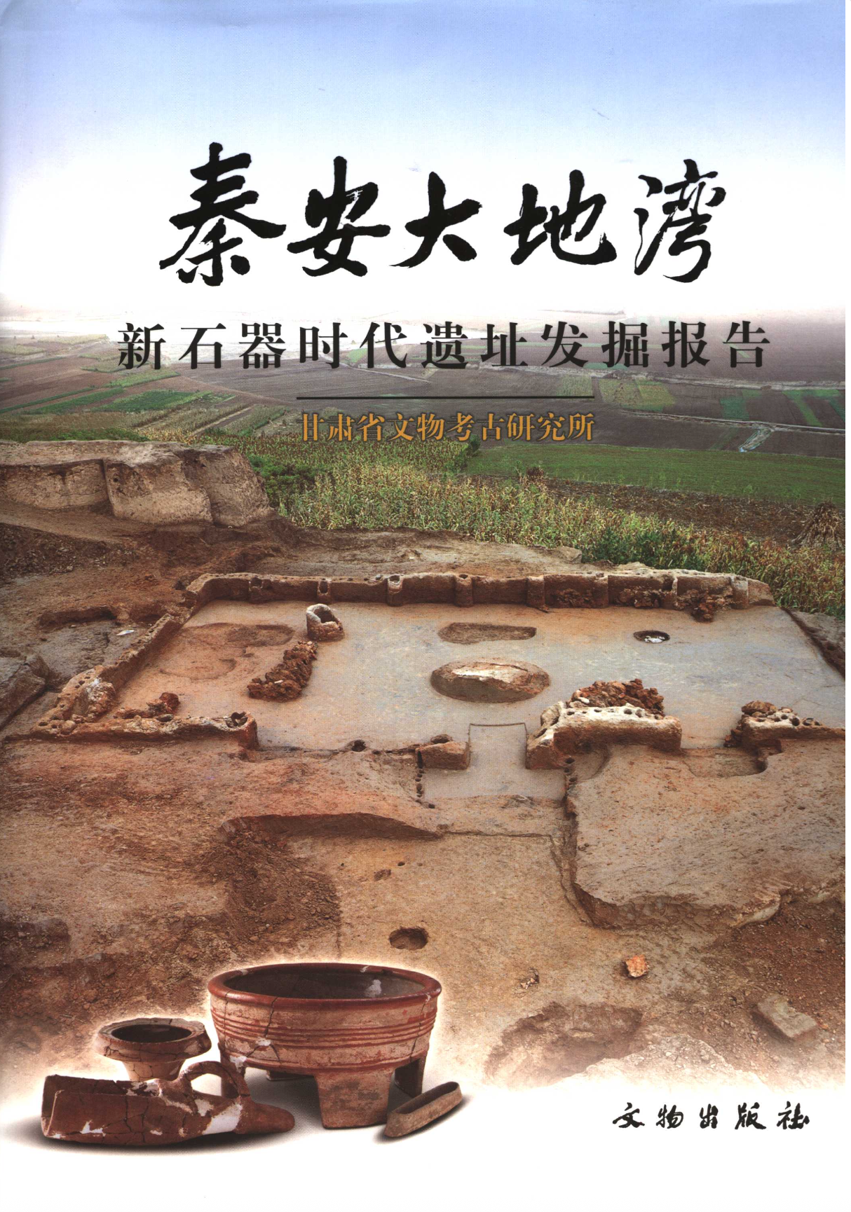 Cover of 秦安大地湾：新石器时代遗址发掘报告