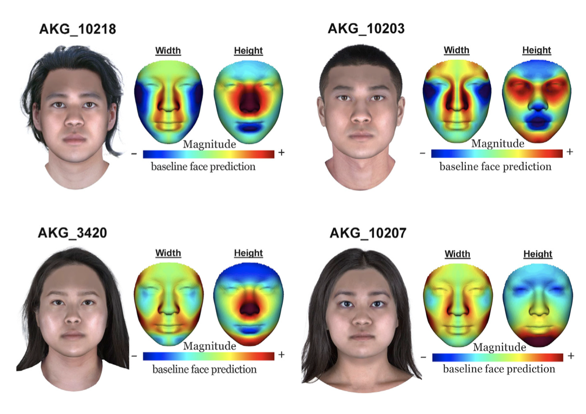 Genetically predicted facial appearance of AKG_10203 and three other Gaya-period individuals