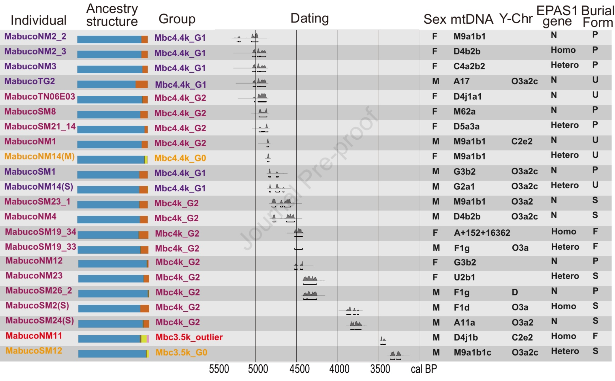 Overview of ancient individuals from the Mabuco site, showing ancestry structure, dating, sex, mitochondrial and Y-chromosome lineages, EPAS1 genotype and burial form