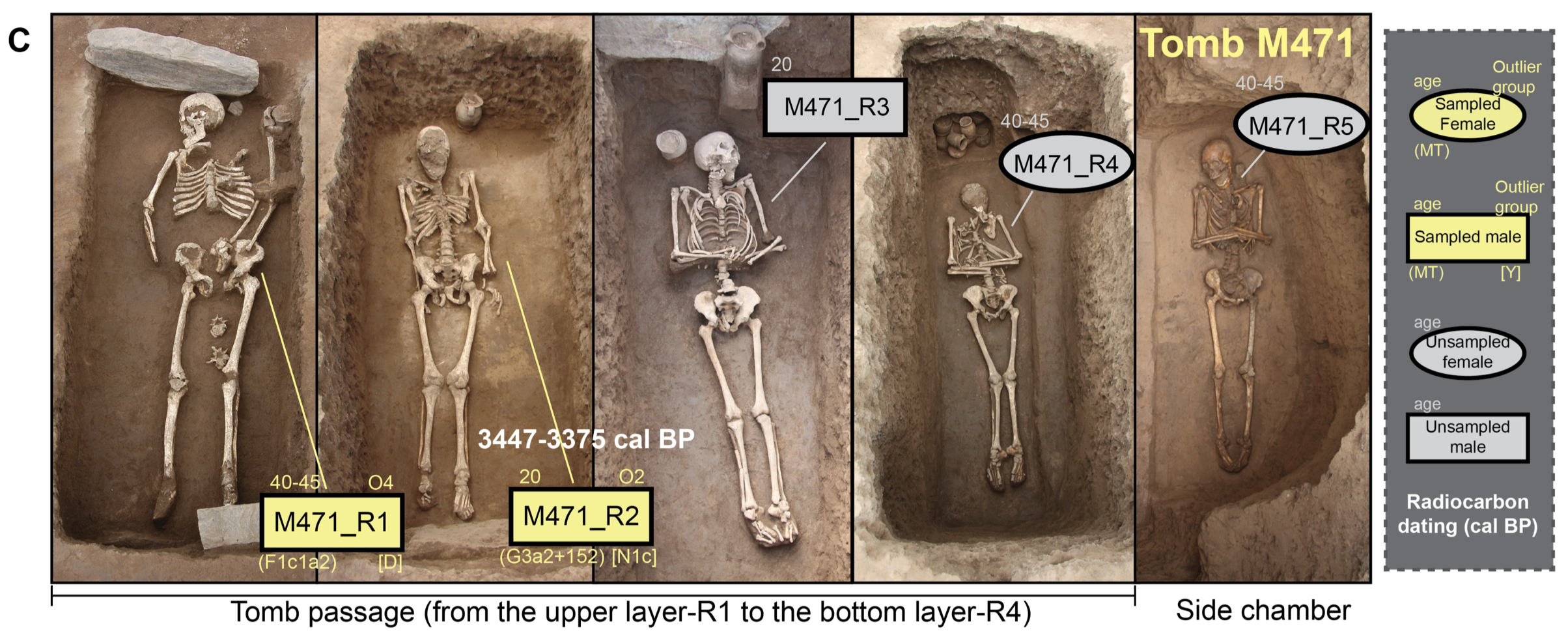 Tomb M471 at Mogou showing four successive burial layers in the tomb passage and a fifth individual in the side chamber.