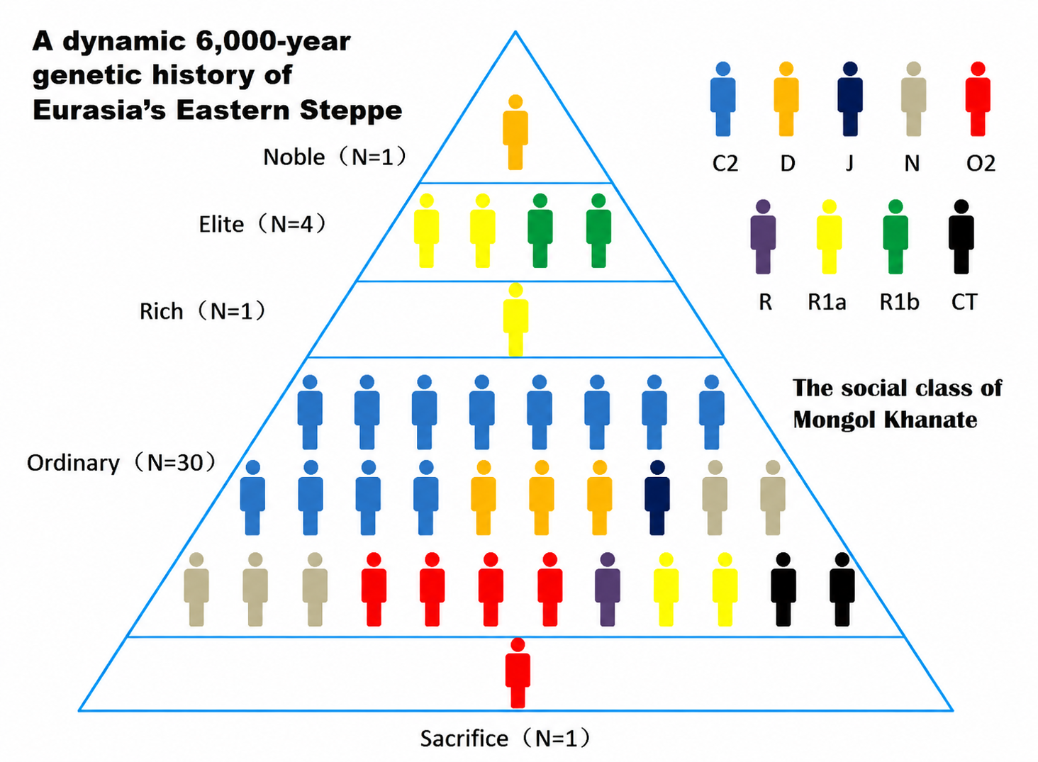 Pyramid diagram of the social classes of the Mongol Khanate, with each individual coloured by Y-haplogroup