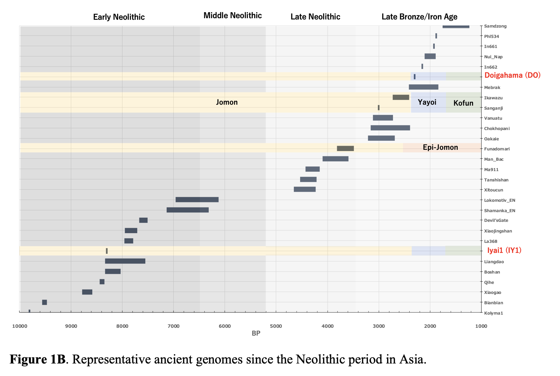 Timeline of representative ancient genomes in Asia including Doigahama DO