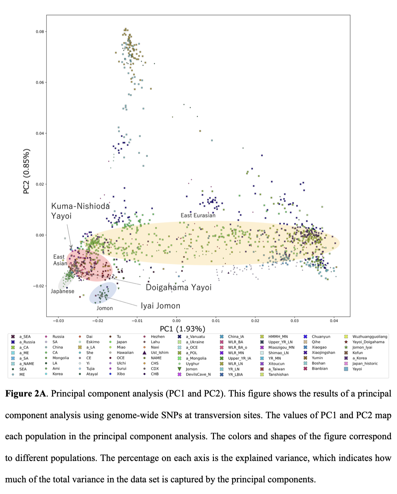 Principal component analysis including Doigahama Yayoi and Iyai Jomon
