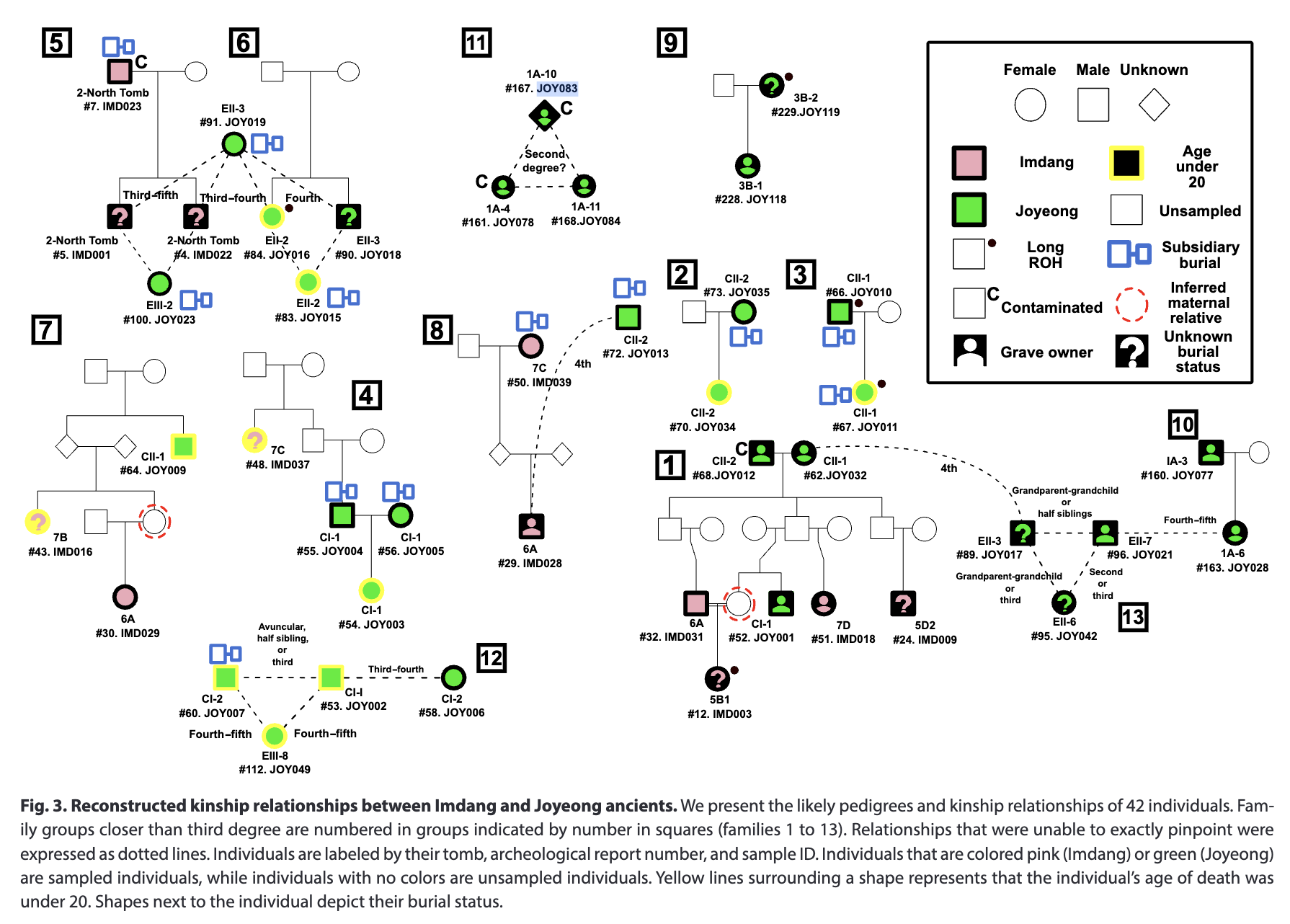 Reconstructed kinship relationships between Imdang and Joyeong ancient individuals