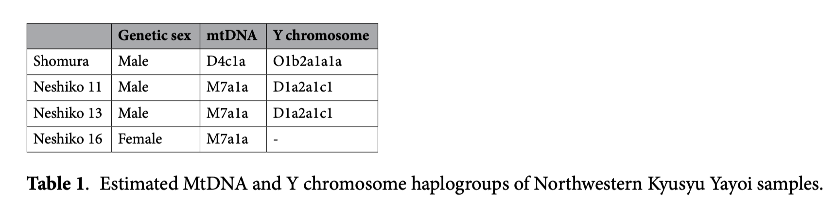 Table of mitochondrial and Y-chromosome haplogroups for Northwestern Kyushu Yayoi samples, including Neshiko 11 and Neshiko 13