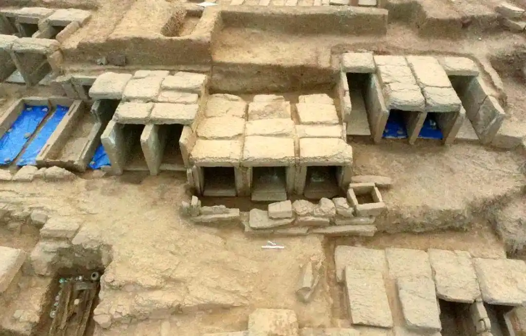 Several rows of chambers mid-excavation, some covered with blue sheeting